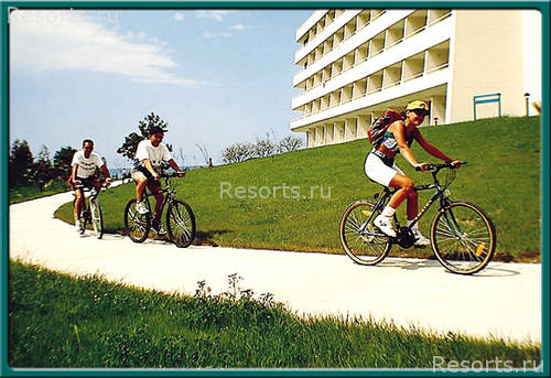 Mirage Park Resort 6